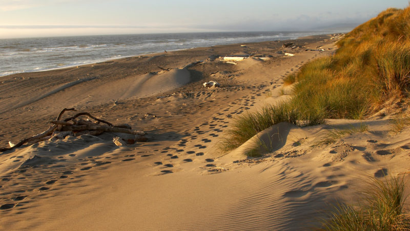 Bandon Dunes Golf Resort