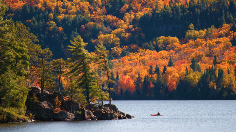 Algonquin Park, Canada