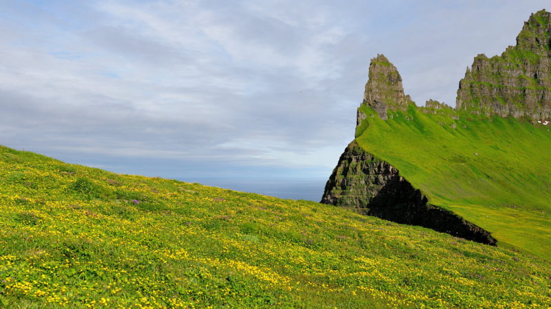 Photo by: Erik-Jan Vens