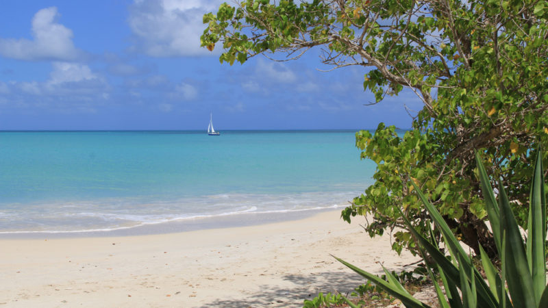 Galley Bay Beach Antigua