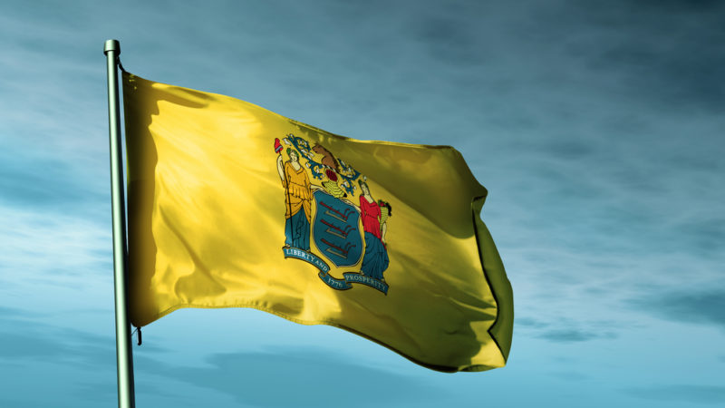 New Jersey State Flag