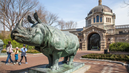 11 Kinderfreundliche Aktivitaten In New York City Mapquest Travel