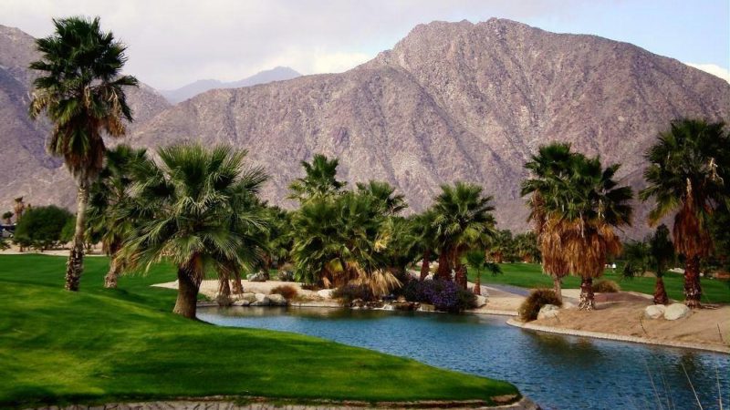 Photo by: The Springs at Borrego