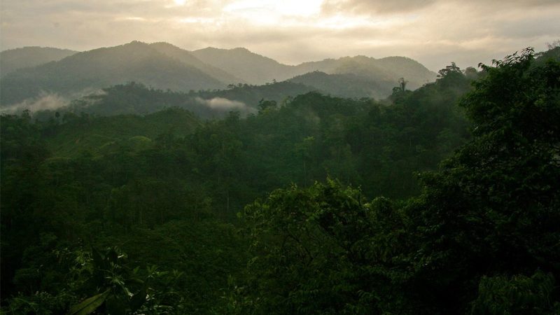 Photo by: Rainforest Alliance