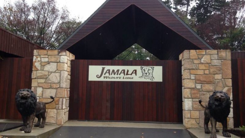 Photo by: National Zoo & Aquarium Canberra