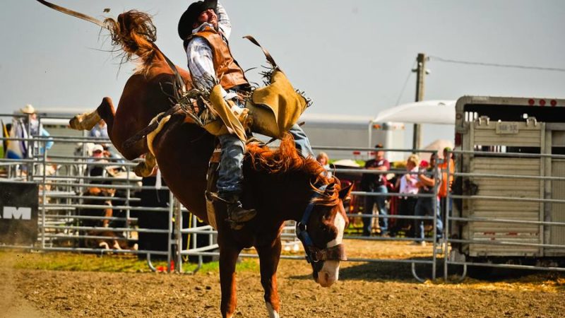Photo by: International Plowing Match