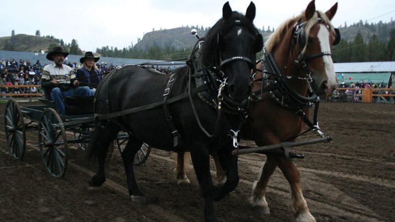 Photo by: Rock Creek Fall Fair 