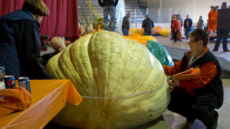 Photo by: Smoky Lake Great White North Pumpkin Fair 