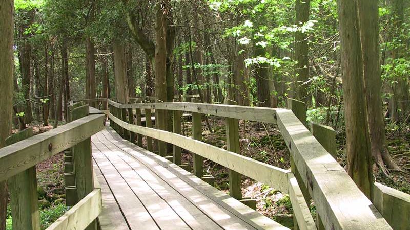 Photo by: Toronto Hiking