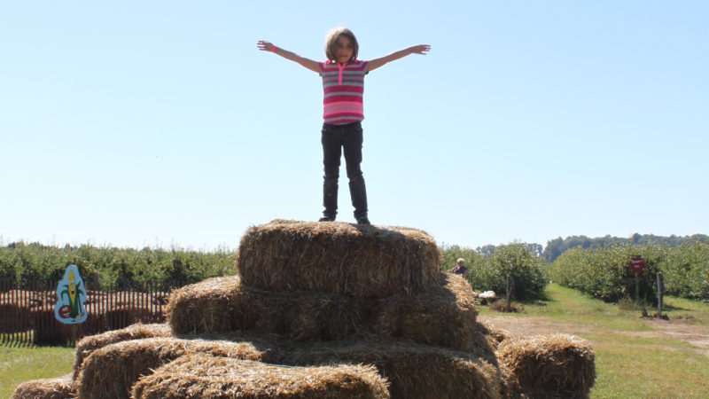 Photo by: Thiessen Apple Orchard 