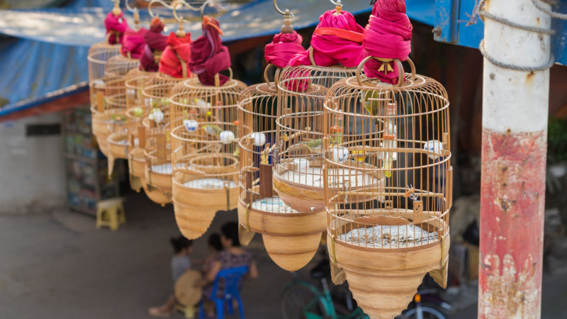 Hanoi Photography / Shutterstock.com