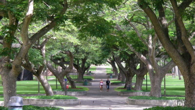 Photo by: University of Hawai’i