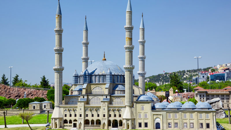 Serg Zastavkin / Shutterstock.com
