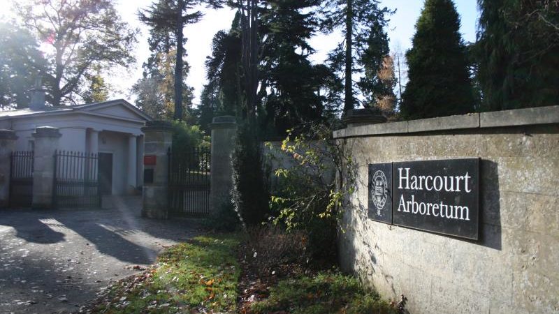 Harcourt Arboretum Oxford