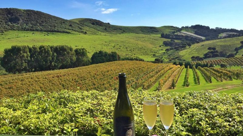 Photo by: Stonyridge Vineyard