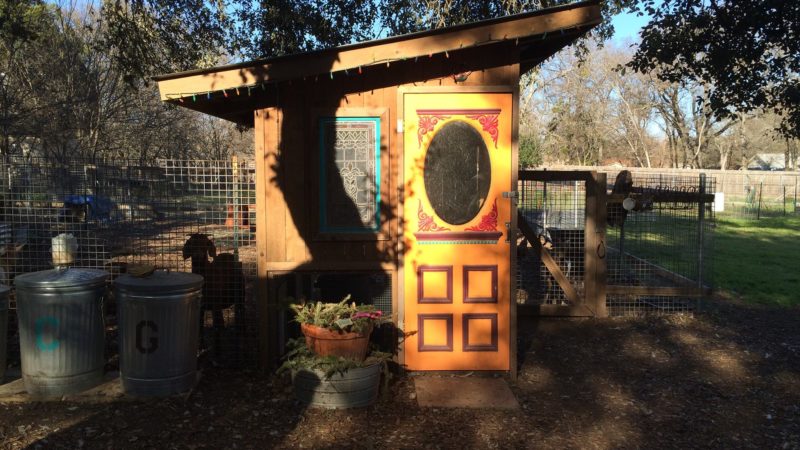 Photo by: Austin Funky Chicken Coop Tour
