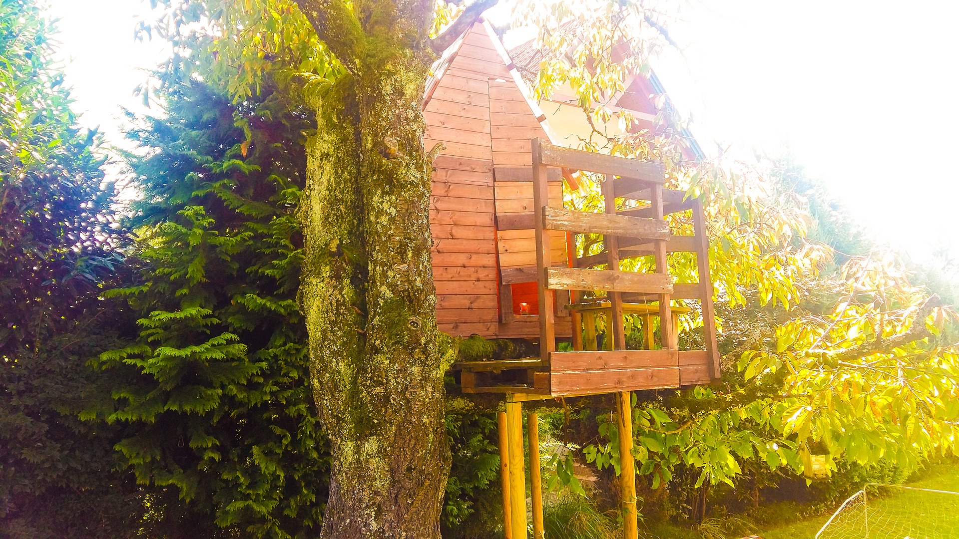 Treehouse Glamping in Texas Hill Country MapQuest Travel