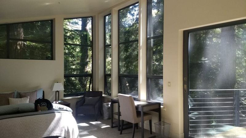 My pretty, light and serene Treehouse room looking out into the redwoods.