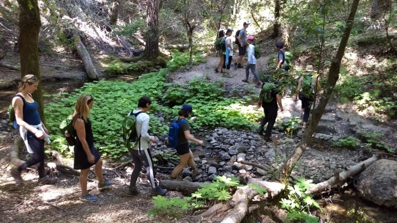 One of several challenging, but beautiful, hikes we did.