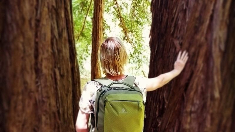 Eagle Creek Wayfinder backpack review