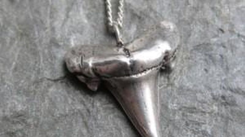Metalicious Shark Tooth Necklace