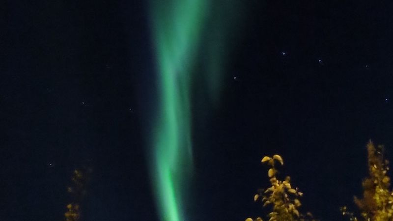 Alaskan Northern Lights