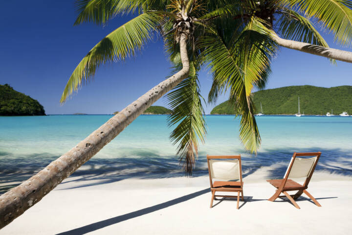 chairs under palm trees at a beach